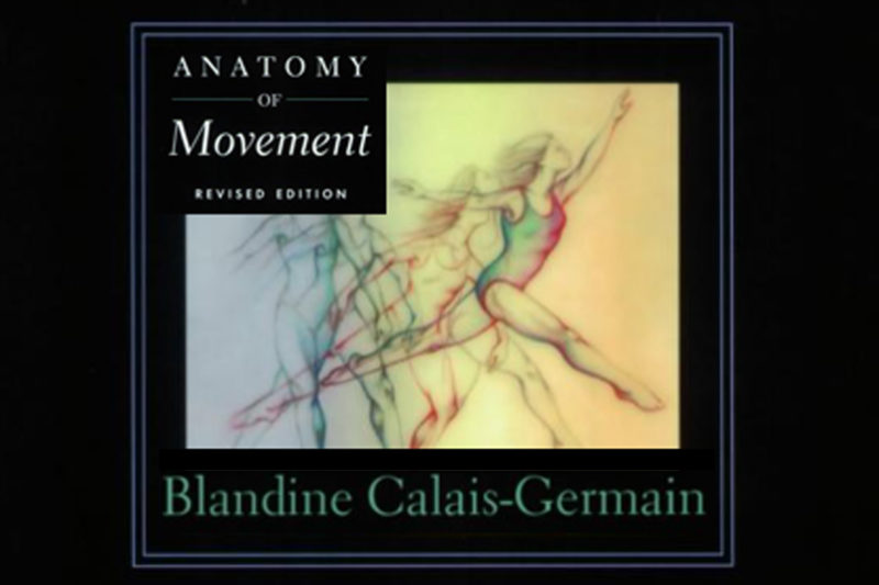 anatomy of movement calais germain